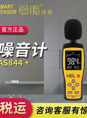 希玛AS844+噪音计分贝仪噪音测试仪温度测试可连电脑