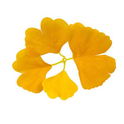 仿真银杏树叶园林景装饰树仿场真枝黄色LF-20190绿色景布置工程装