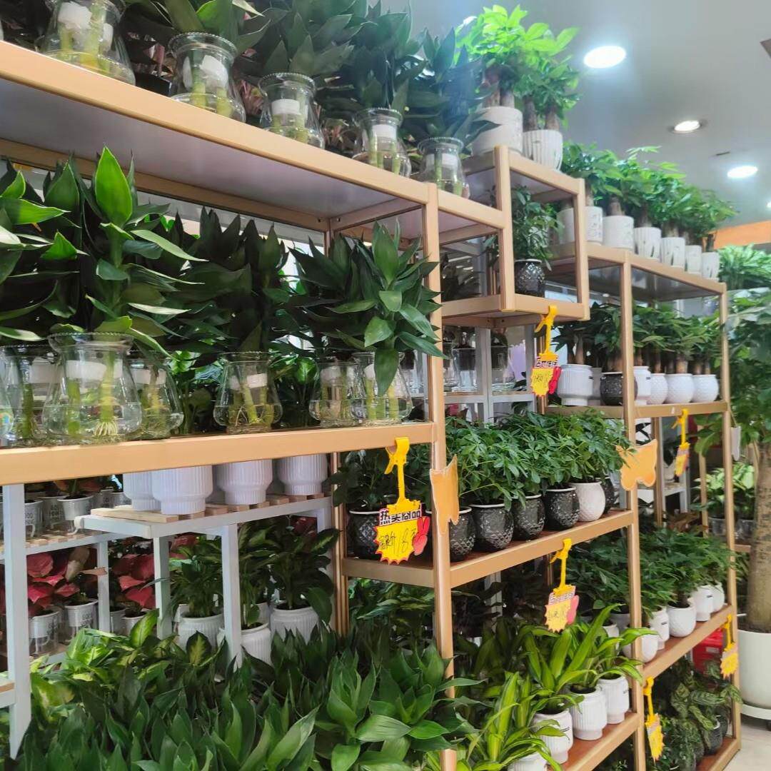 花店展示架鲜花花束陈列架多层落地式花架花店花艺展示架永生花架