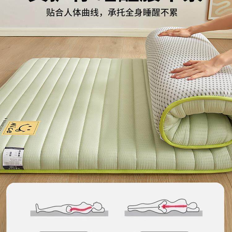 双人地叠铺地睡垫租房家垫用床垫软垫单防潮地垫可折VIP打铺