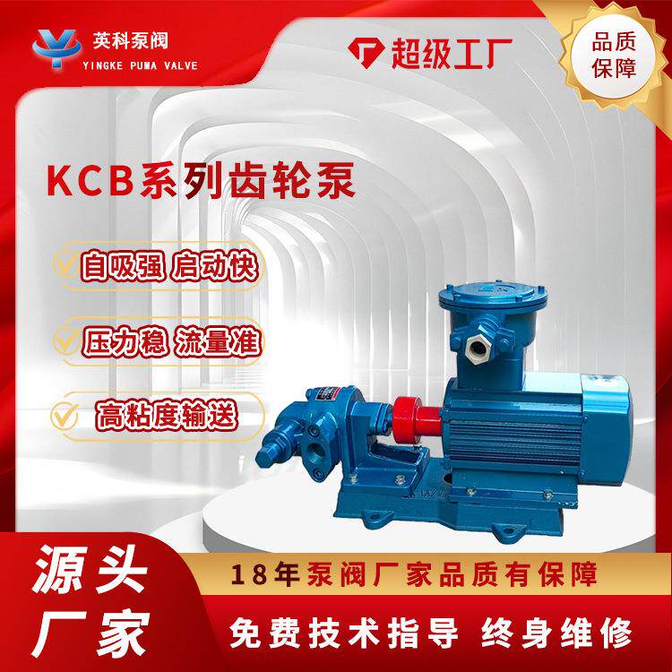 齿轮泵KCB55防爆液压油小型铸铁电动304不锈钢微型涂料齿轮油泵
