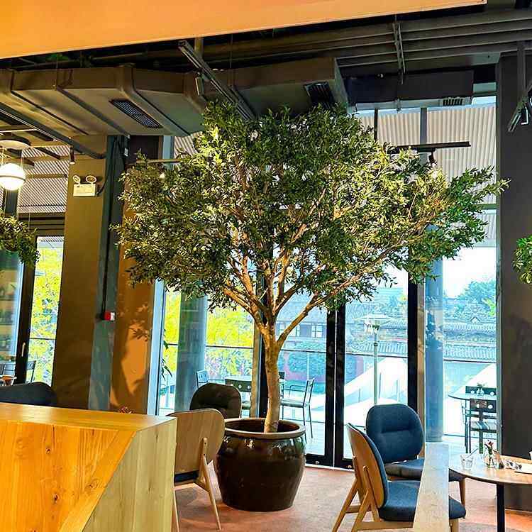 真橄榄树型大仿绿植室内外景观tb-70096仿装饰橱真窗软装造景仿真