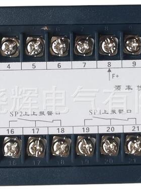 速度监控显示仪智能转速表XSM/A-H1GT2AB1SOVO