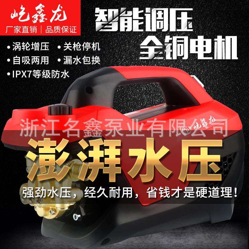 手提式清洗机家用220v大功率可调压洗车机小型便携汽车110v清洗机