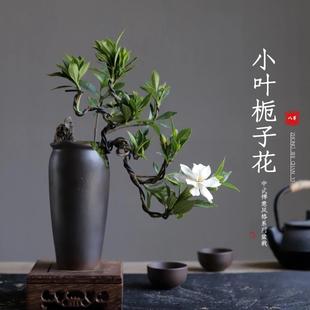 书房盆景造型栀子花桩悬崖栽四季 飘浓香老阳台新款 花卉绿室内客厅