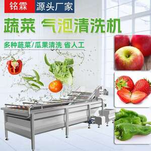 全自动苹果气泡清洗机草莓喷淋式清洗成套设备辣椒气泡清洗机
