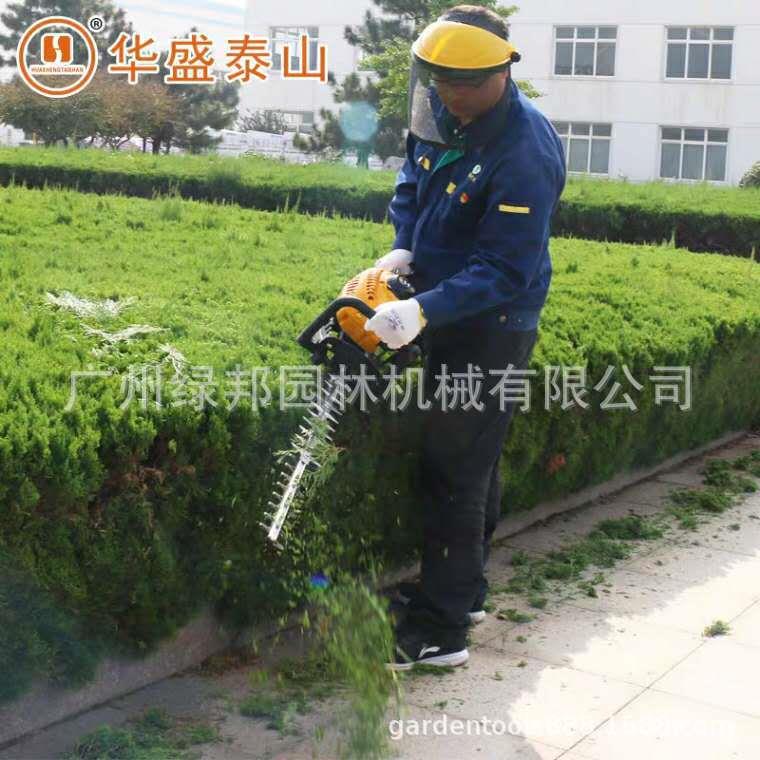 华盛二冲程1E2FL-S动力绿篱机600S 汽油绿篱修剪机 整篱笆剪