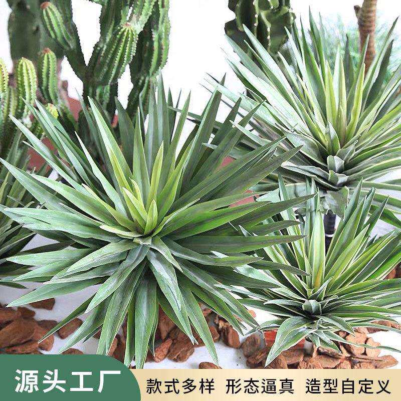 仿真芦荟龙舌兰剑麻沙生植物小棵绿植家居门店造景堆景装饰摆件