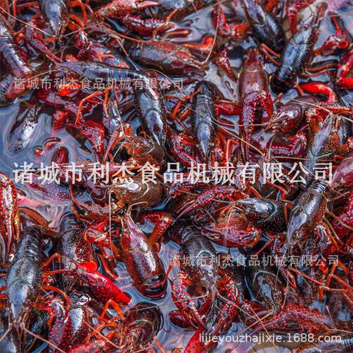 供应龙虾蒸煮加工设备小龙虾气泡清洗机虾尾卤煮机器
