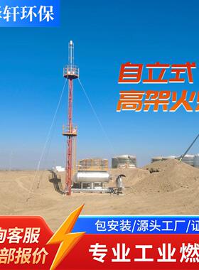 合成气架火炬 煤化工转化气燃烧 化工合成尾气放散火炬系统