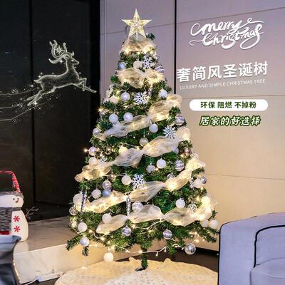 Christmas Tree Package Encrypted DIY Luminous Large圣诞树