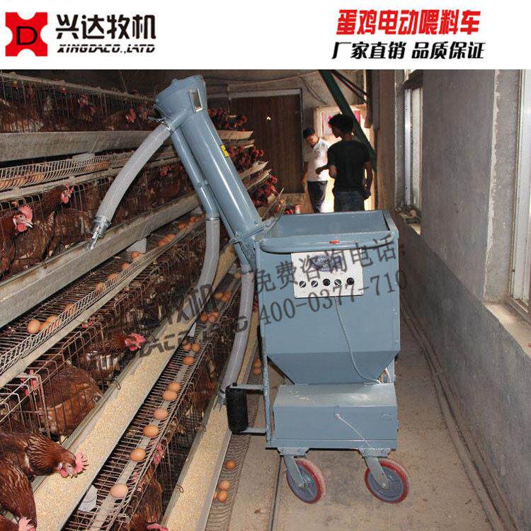 肉鸡半自动喂料机镀锌板耐腐蚀自动化养鸡设备厂家直销