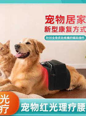 正品Led人红光宠物理疗带狗猫髌骨腰椎发热仪关骨节折后光疗工制