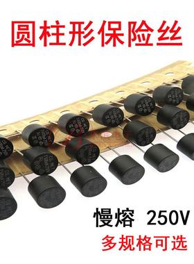 圆柱保险丝管T160MA 400MA 500MA 800MA 1A 1.25A 1.6A 250V黑色