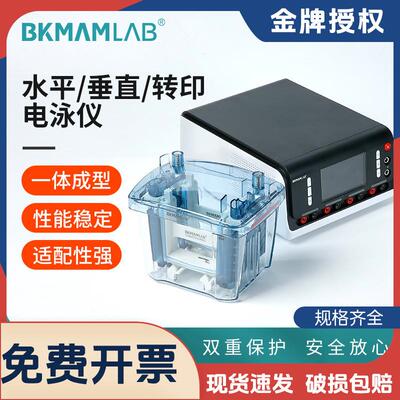生物水平垂直电泳仪凝胶wb转印槽蓝光电源核酸蛋白检测