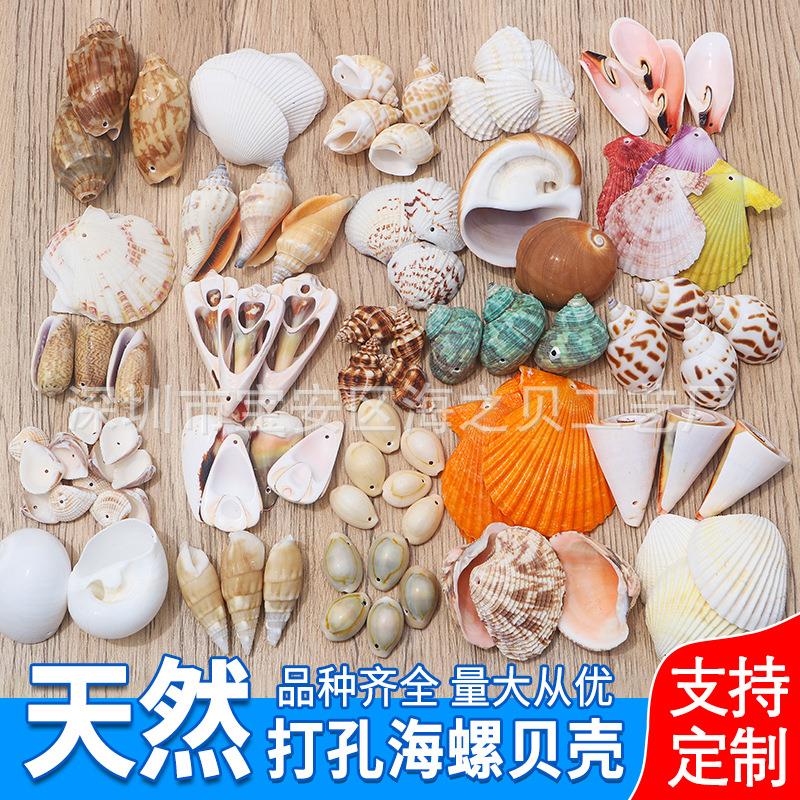 天然海螺白色打孔贝壳创意手工风铃项链材料鱼缸造景一斤