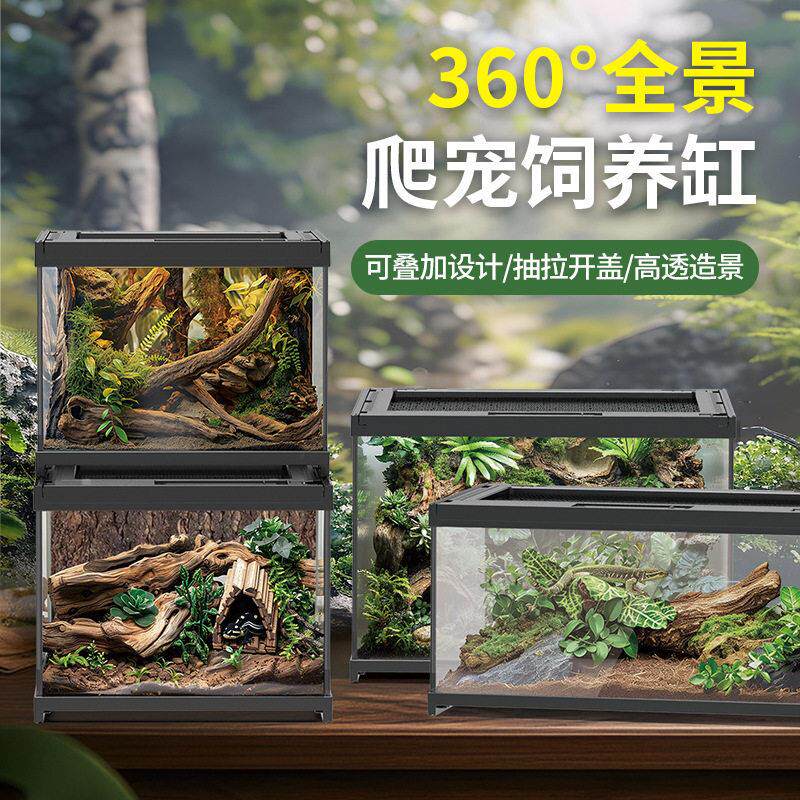 玻璃爬宠饲养箱睫角爬箱守宫鬃狮蜥造景蛇超大守宫蜥蜴角蛙饲养缸