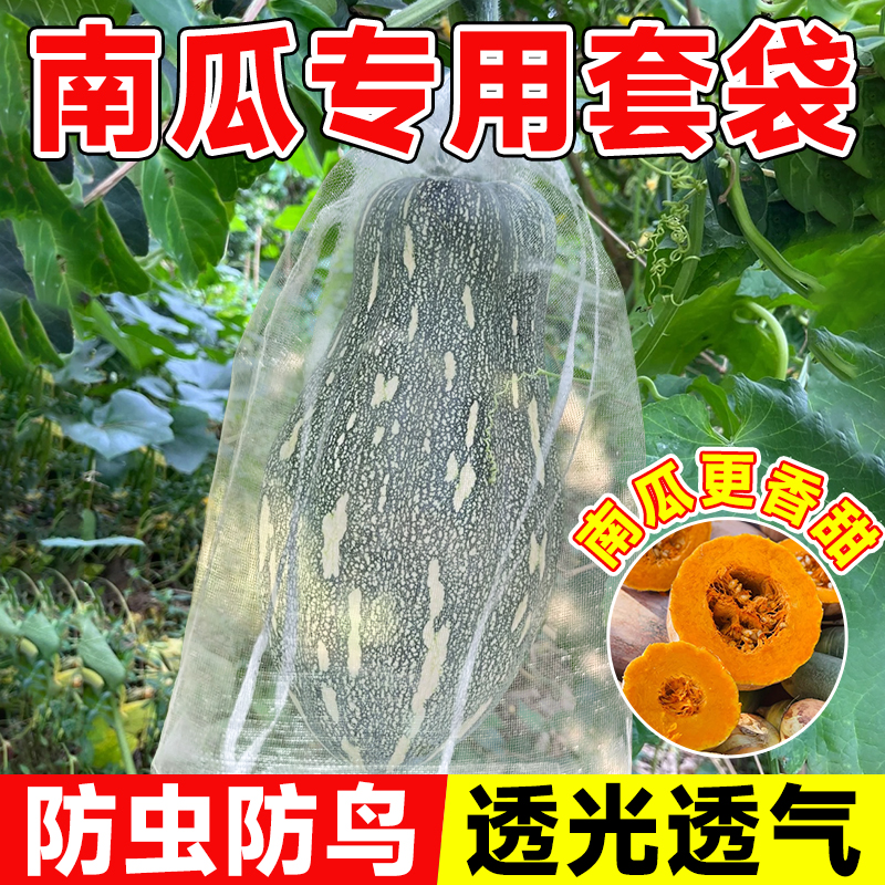 南瓜套袋防虫袋专用网袋无纺布防鸟袋子西瓜冬瓜柚子水果蔬果网套