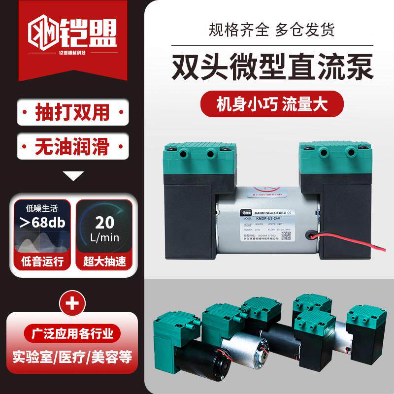 抽打两用双头小型24V直流真空泵微型隔膜泵抽气迷你气泵220v高压