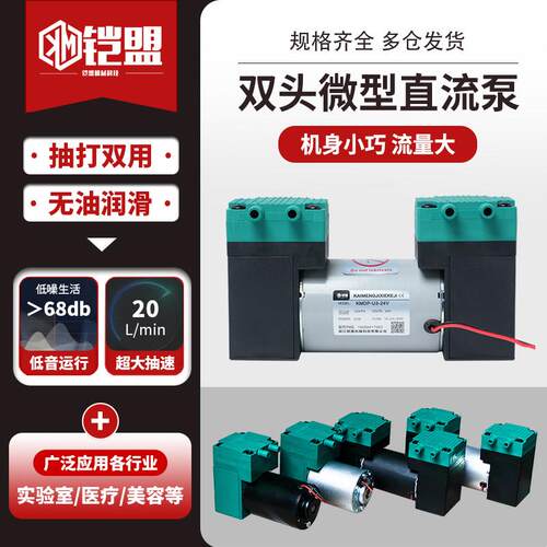 抽打两用双头小型24V直流真空泵微型隔膜泵抽气迷你气泵220v高压