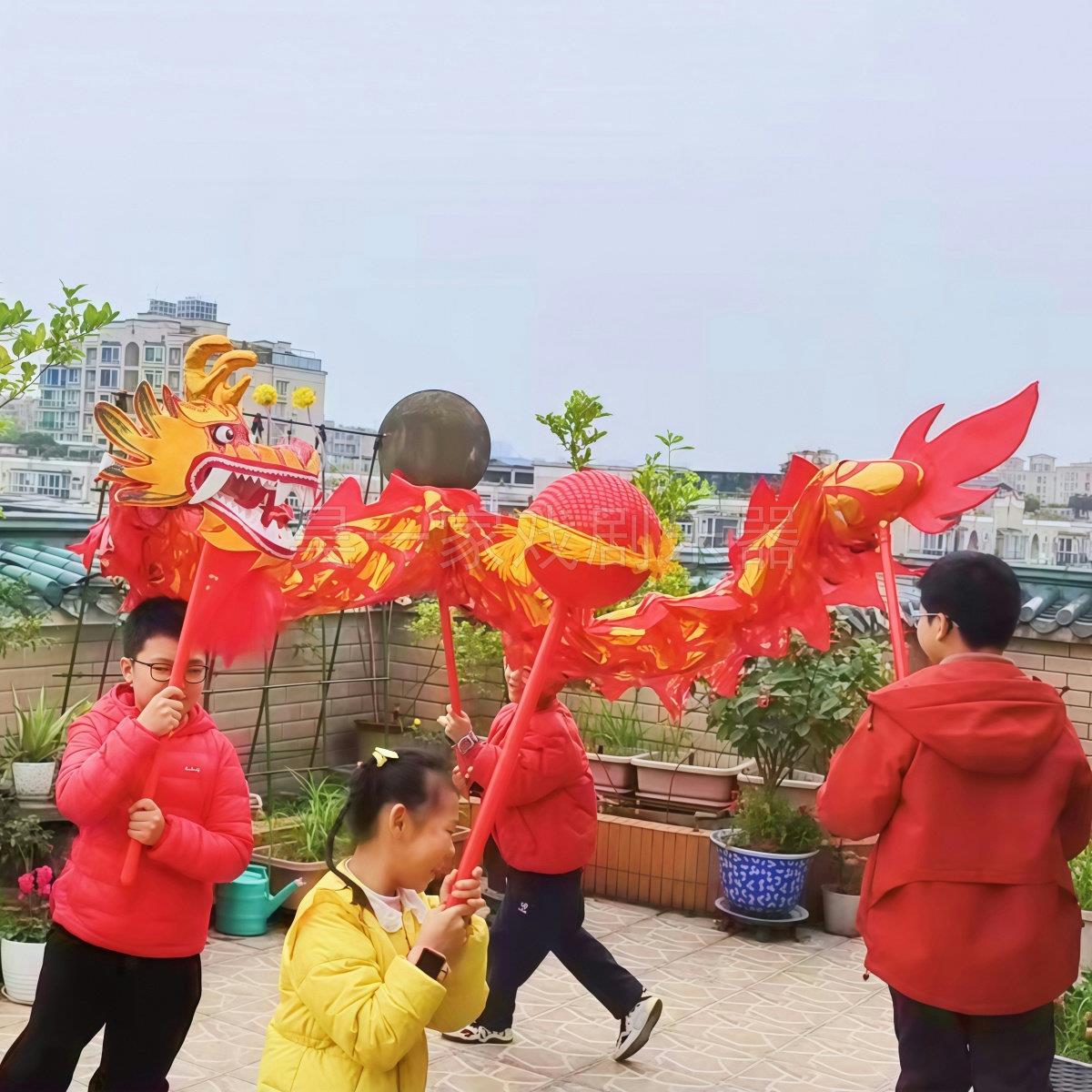幼儿童舞龙道具小学生运动会舞龙舞狮表演出龙灯活动全整套昊一家