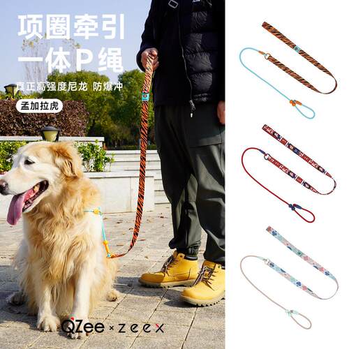 QZee遛狗P绳 高强度真尼龙项圈一体牵引绳 防爆冲金毛柯基训犬P链