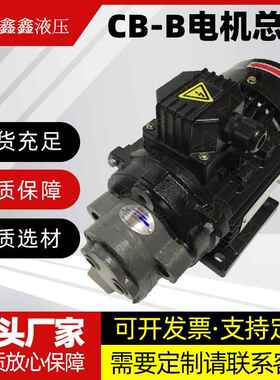 CB-B6/B10/B4/B2.5齿轮泵液压油泵电机组370W/550W润滑油泵头总成