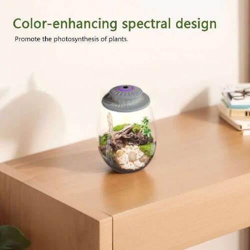 Fern Moss Micro-Landscape Grow Light with Timer Plant Grow
