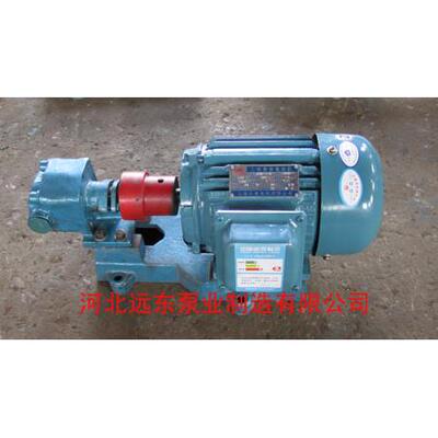 重油驳运泵BCB20/0.6A摆线内啮合齿轮泵