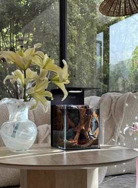 2025新款白色宋代美学白色侘寂风玻璃花瓶高级感小众摆件桌面花瓶