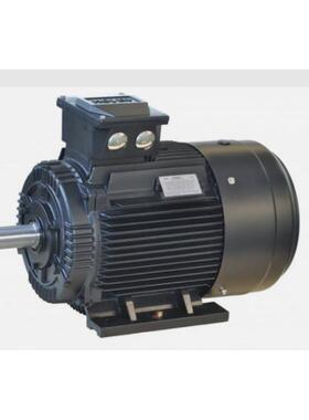霍尔HOYER异步低压三相TEFV鼠笼电机400V Y – Hoyer IE3 3KW功率