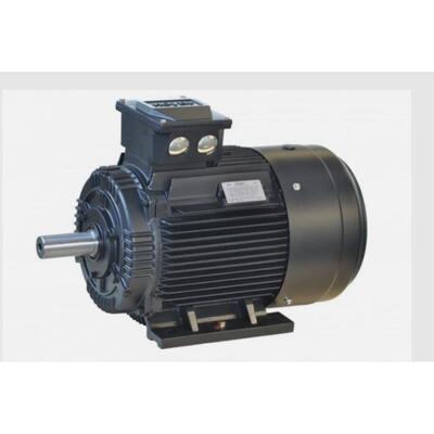 霍尔HOYER异步低压三相TEFV鼠笼电机400V Y – Hoyer IE3 3KW功率