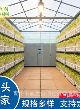 商用芽苗菜机芽苗菜生产机器苗菜催芽设备自动控温迪生机械