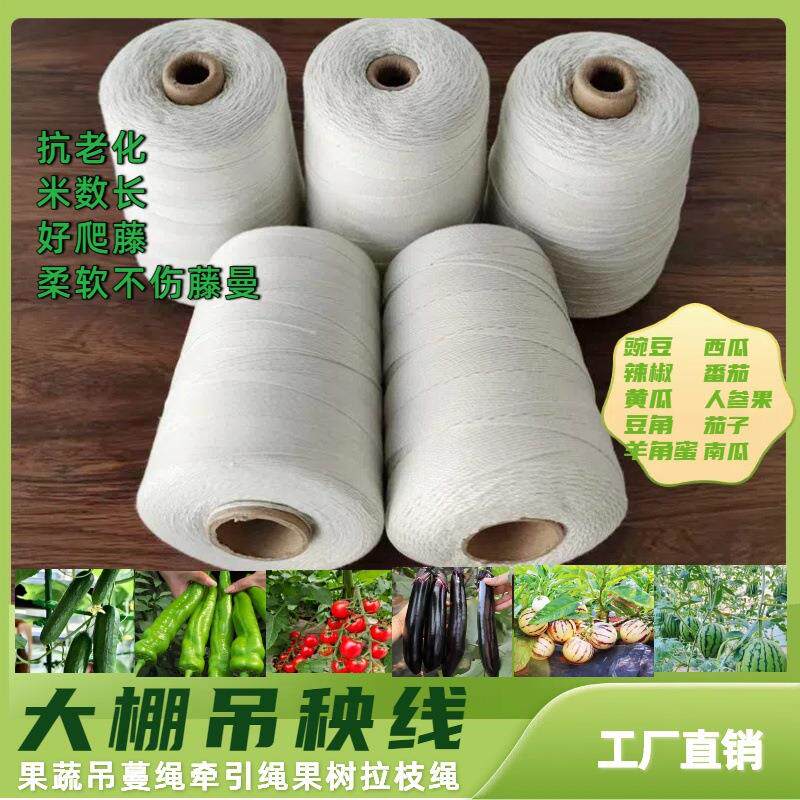 绑豌豆架线吊番茄西红柿黄瓜大棚蔬菜吊绳绑蔓吊秧夹子绳吊蔓绳子 - 实物图