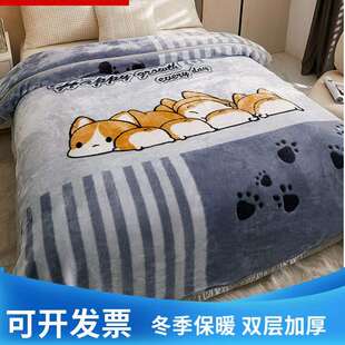 拉舍尔毛毯双层加厚盖毯冬季绒毯被子学生超厚保暖法兰绒毯午睡毯
