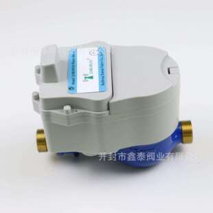 外贸Lorawan 远传水表868频段923频段远传水表lora远传水表
