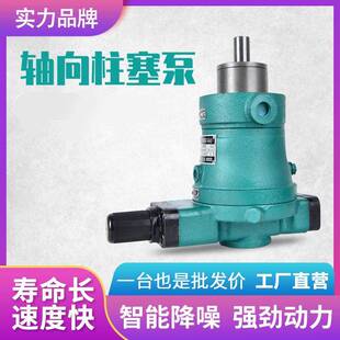 1B轴向柱塞泵往复 108 160YCY14 重庆高压压力补偿10