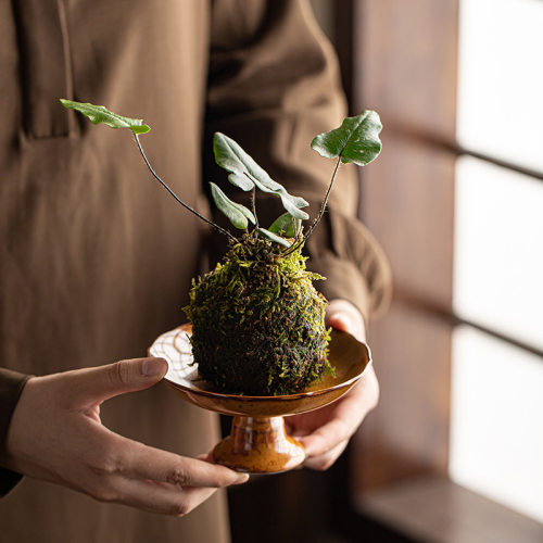 水果盘陶瓷禅意茶点精致茶室果篮