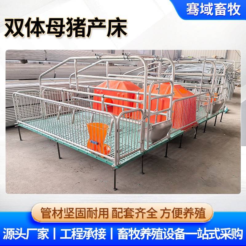 现货双体母猪产床大型猪场畜牧产房养殖设备复合母猪分娩栏产床