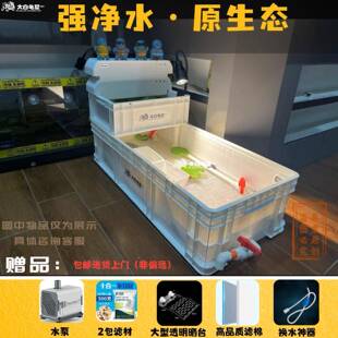 90尺寸龟箱龟缸乌龟缸不用拉筋生态养龟加厚沼泽过滤大白龟墅