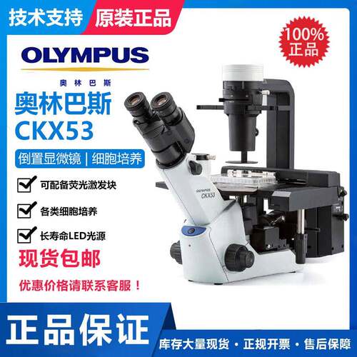 CKX53细胞培养倒置生物显微镜荧光显微镜