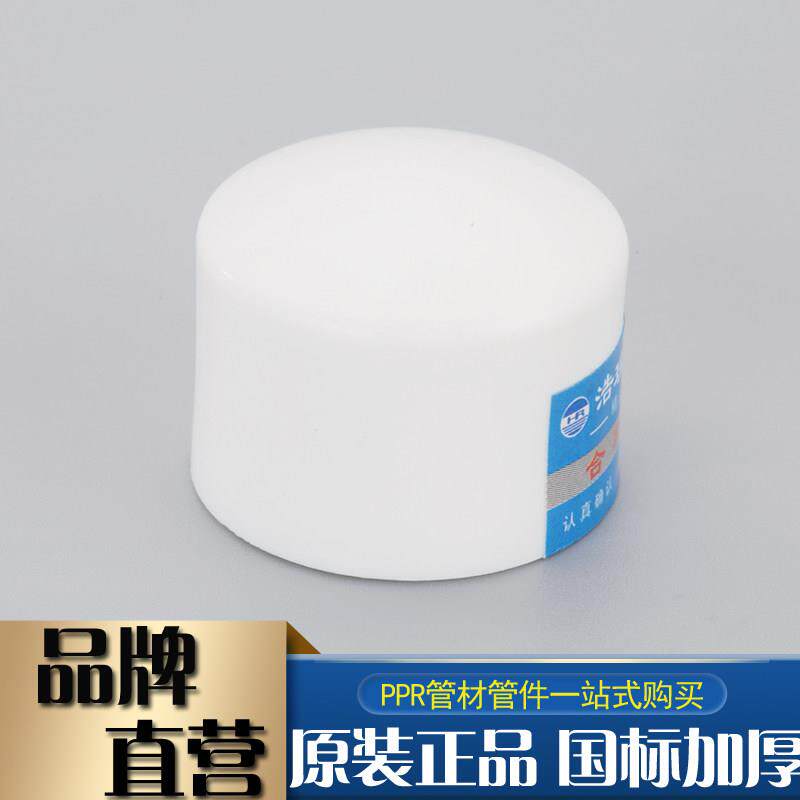 ppr管帽4分20水管接头配件6分25管堵自来水管热熔封头堵头管件