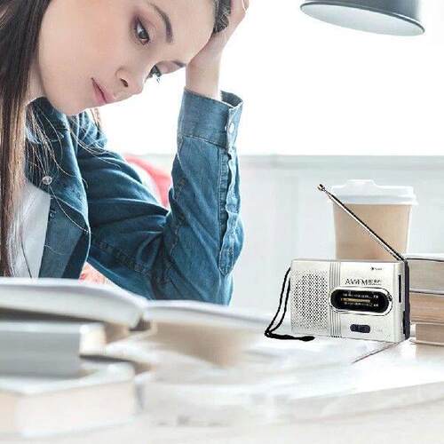 Portable Mini Radio Built-in Speaker Music Player Battery