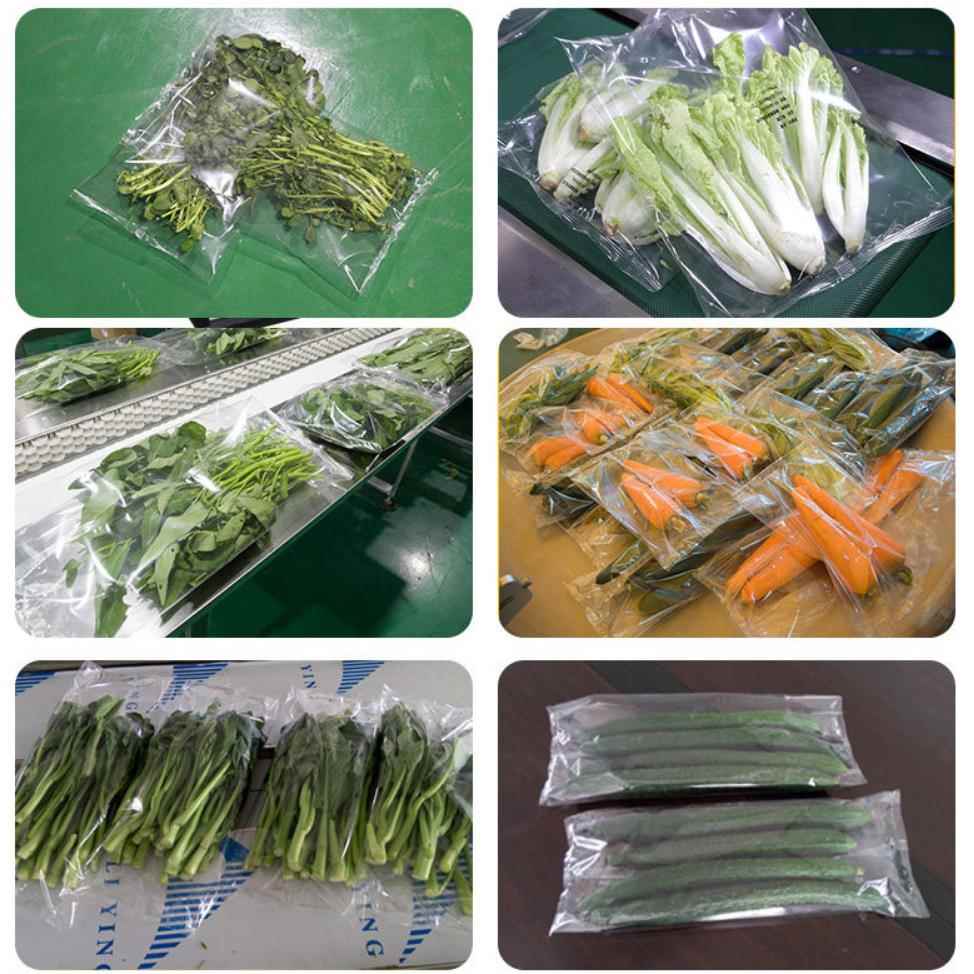 HY600S新型高速洋芋 洋葱 生姜 山莲藕药 蒜  茭816白  大葱包装