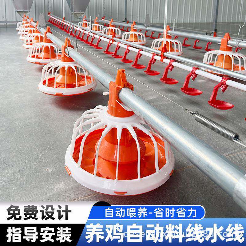 全自动散养肉鸡用鸭鹅喂料畜牧设备系统料盘养殖场水线平养鸡料线