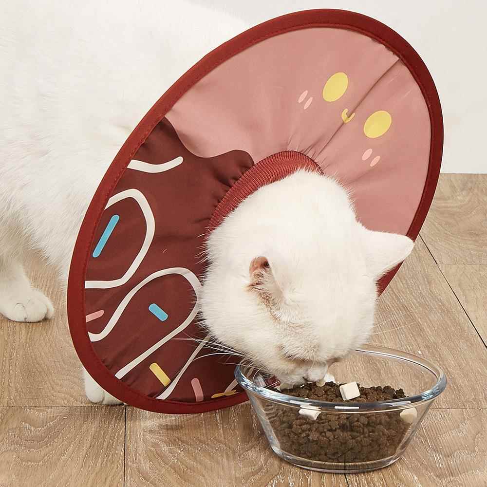 宠物伊丽莎白圈猫咪狗狗兔子项圈轻薄防舔咬围脖脖圈耻辱圈头套