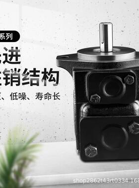 液压泵KST款T6C/D/E系列单双高压高转速定量电动法兰安装叶片泵