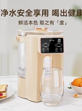 跨境出口美规110V恒温电热水瓶婴儿泡奶机家用调奶器智能电热水壶