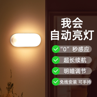 Lyridz智能人体感应灯入户门家用床头夜间厕所楼梯过道充电小夜灯