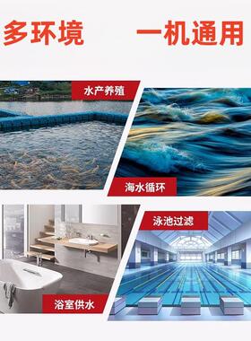 204广东霄SP海鲜凌池自吸循环水专泵M泳池浴池工程过滤泵养殖工程